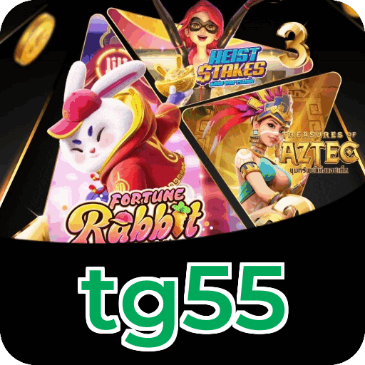 Download PC tg55